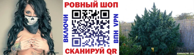 Как найти наркотики Королёв Каннабис  Кокаин  Амфетамин  Меф мяу мяу  Alpha PVP 