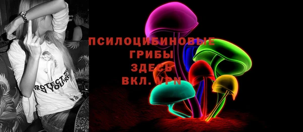 прущая мука Арсеньев