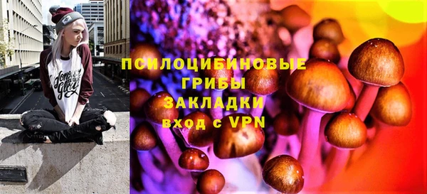 герыч Алзамай