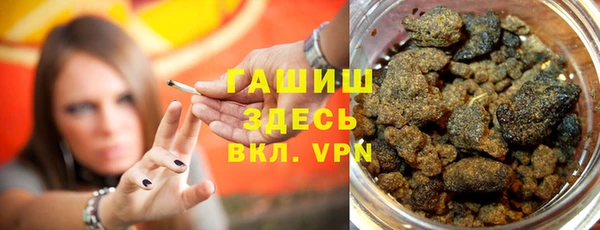 дживик Туринск